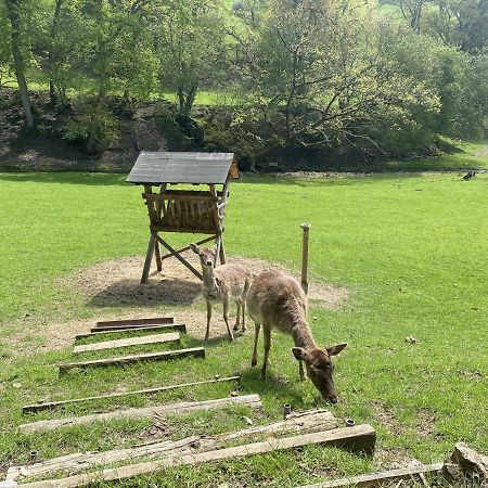 Ferienhaus Rehblick Rockeskyll المظهر الخارجي الصورة